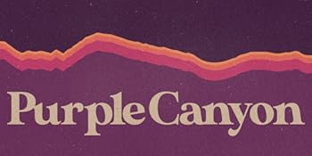 Violet Color Therapy Glasses, Chromotherapy, Mood Balancing, Light Therapy, Purple Colored Lenses