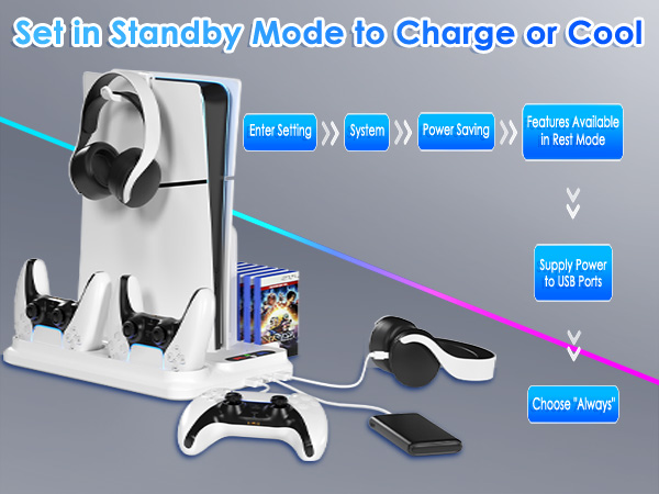 PS5 Controller Charger