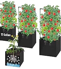 https://m.media-amazon.com/images/S/aplus-media-library-service-media/5febf684-b148-48e8-acb3-463e0114ea7d.__CR89,0,1422,1600_PT0_SX200_V1___.png