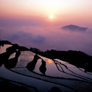 Japanese pottery ceramic