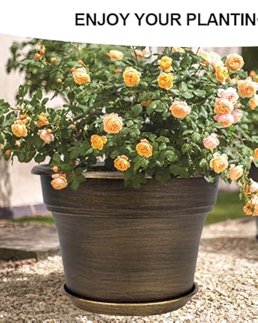 flower pots with drainage