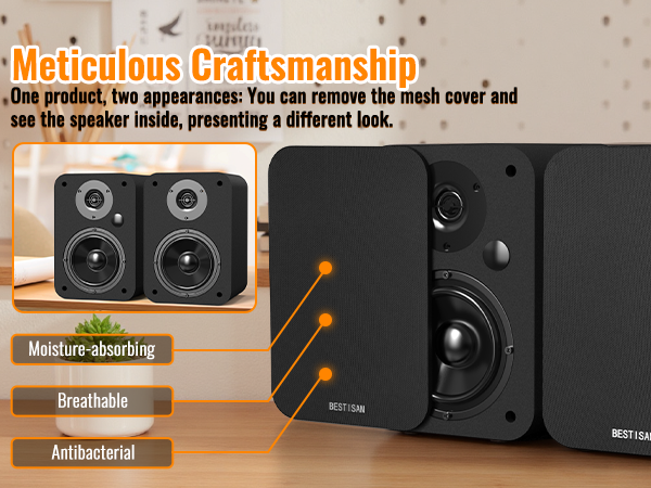 Record Player Speakers