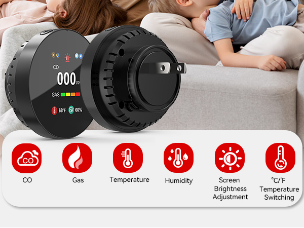 Gas &amp;amp; Carbon Monoxide Detector