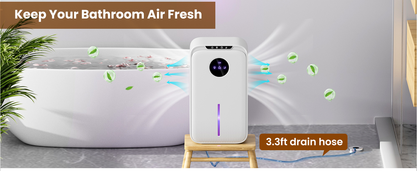 Dehumidifier for bathroom