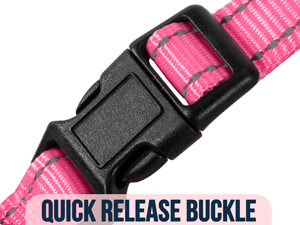 Walking Dog Harness and Leash Set