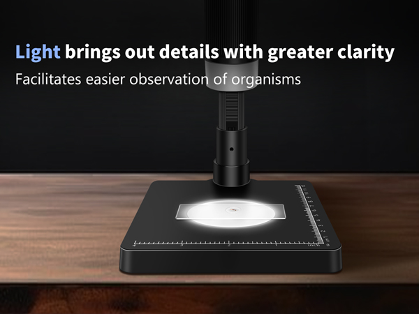 Digital Microscope