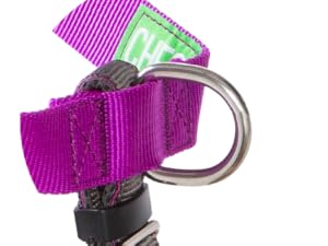 dog harness