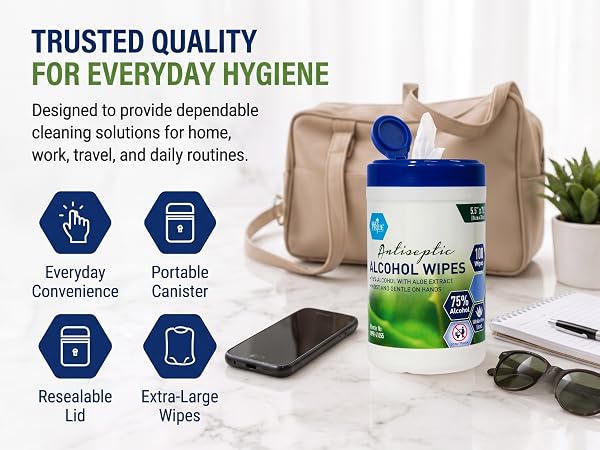 Alcohol Based Disinfectant Wipes, 100 Pack, with Aloe Vera