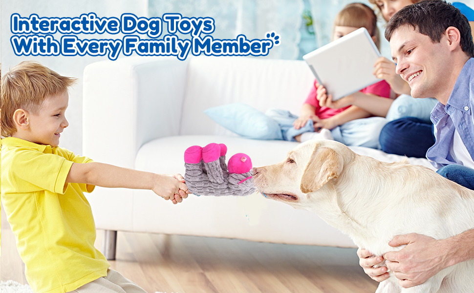 dog toys for large dogs