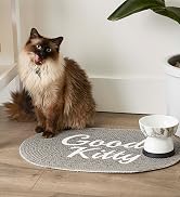 Cat standing by Good Kitty food mat