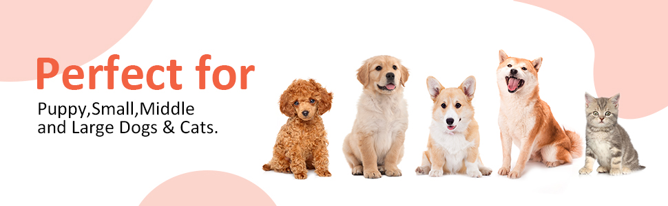 dog plush toy