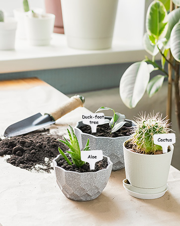 Oligei Plant Labels 120 PCS
