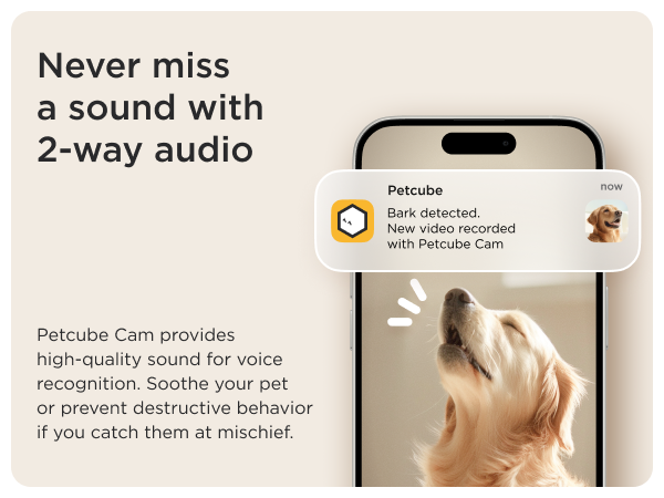Petcube Camera