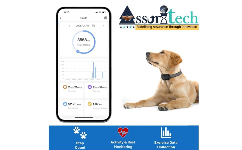 Smart Activity Monitoring for Healthier Pets