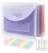 SKYDUE Accordion File Organizer, 13 Pockets File Folders, Letter Size Expanding File Folder with ...