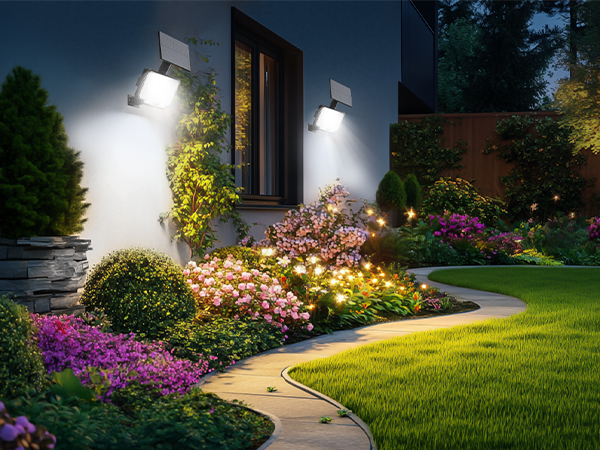 solar lights