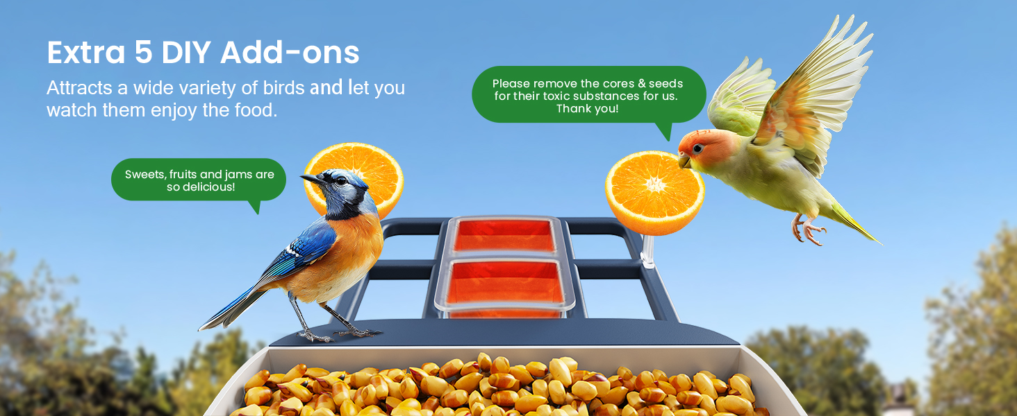 bird feeder with camera outside