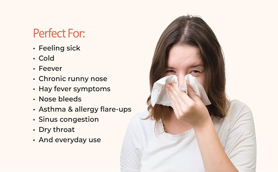 humidifiers for large room