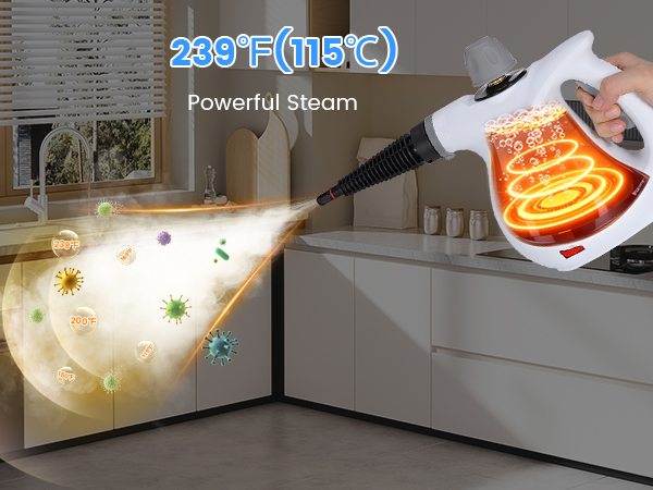 Pressurized Steam Cleaner