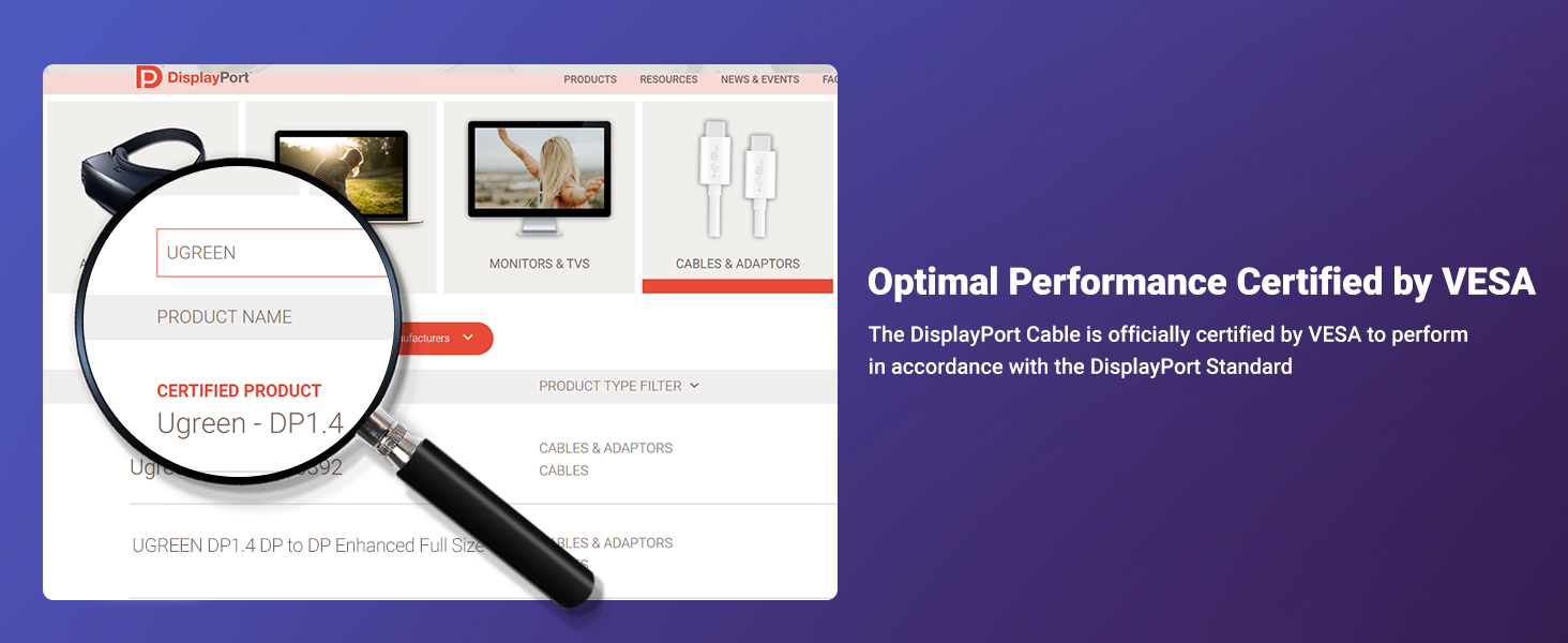 VESA DisplayPort cable