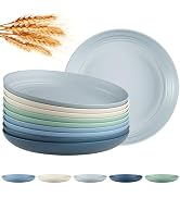 Quatish 10 PCS Unbreakable Reusable Plastic Plates,8 inch Dishwasher &amp; Microwave Safe Dinner Plat...