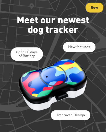 cat tracker