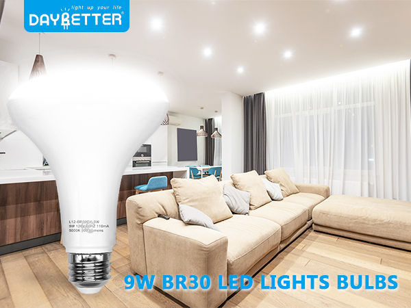 BR30 LED Light Bulbs 5000K 65W Equivalent