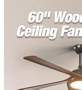 Passky Ceiling Fan,5 Blades,60 Inch,Black