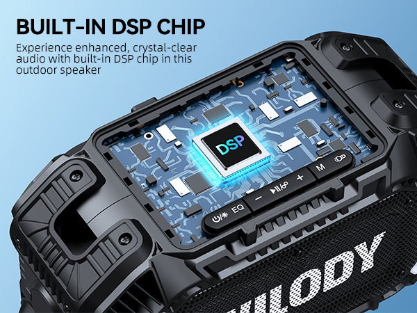 DSP CHIP