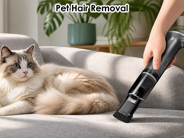 Car Vacuum