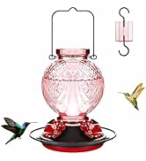 Tegarbed Glass Hummingbird Feeder for Outdoors Hanging, 20oz Bird Nectar Feeder with 4 Bee Guard ...