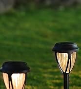 Solar Pathway Lights