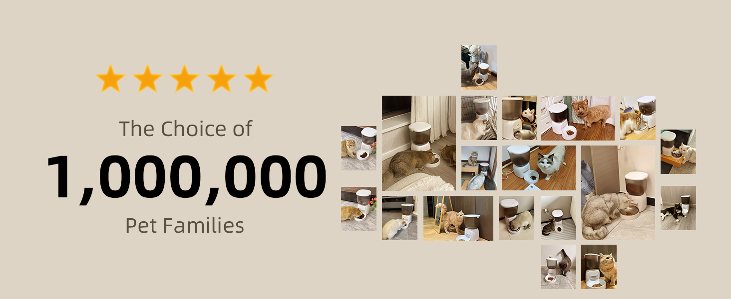 portion control cat feeder