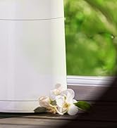 IDEUS air pot