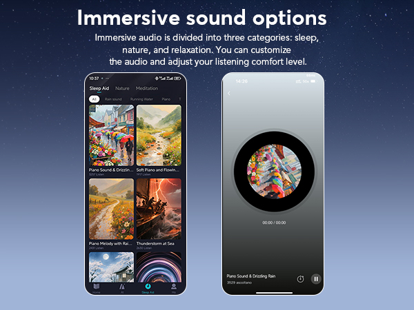 translation earbuds