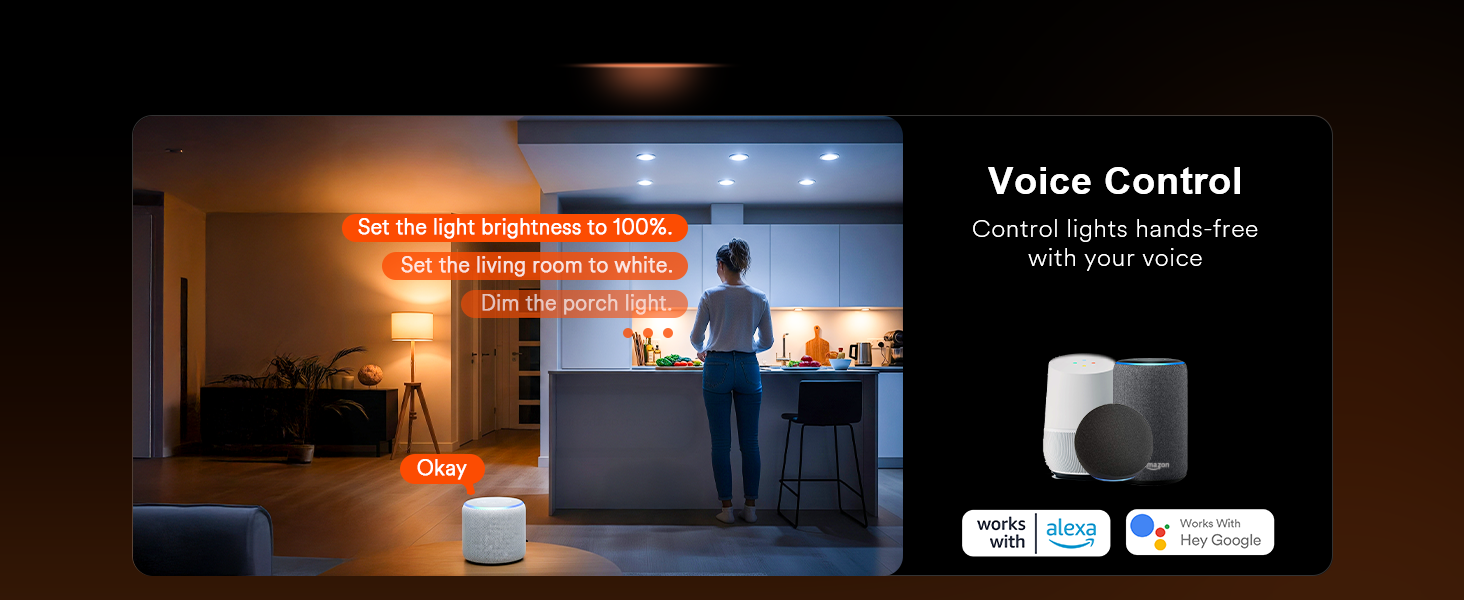 Voice control