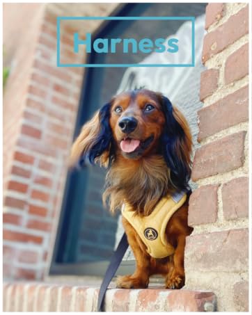 gooby harness branded A+ content