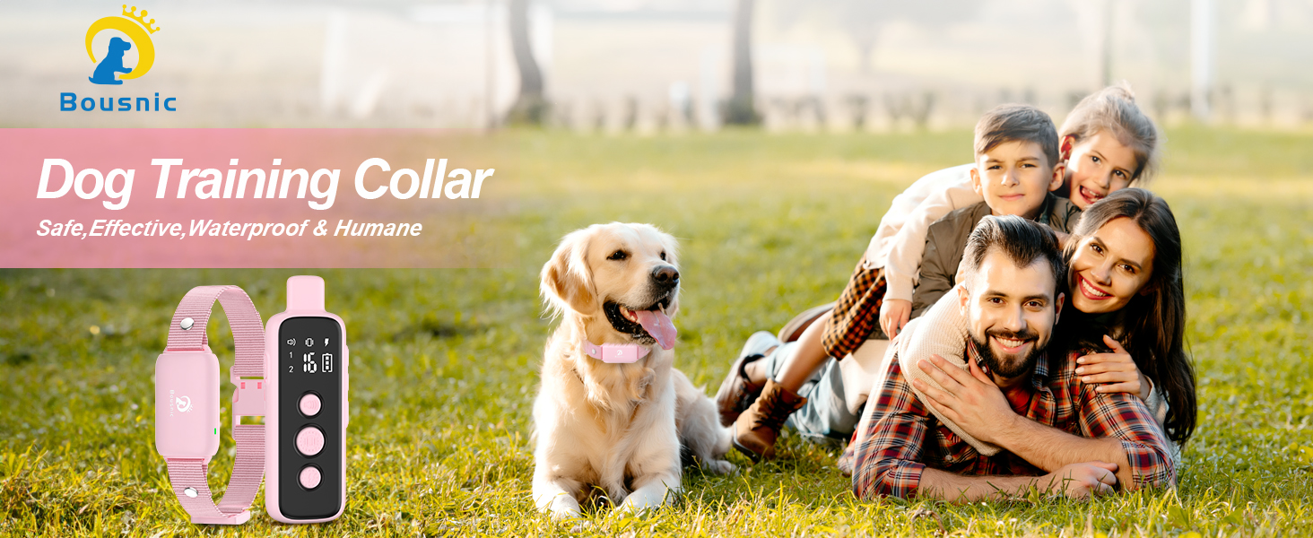 Bousnic Dog Training Collar