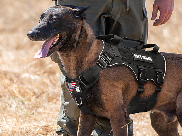 black K9 working dog harness