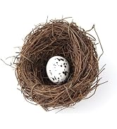Artificial Bird Nest, Bird Nest with Eggs, Dry Natural Nest Country Style Simulation Twig for Han...
