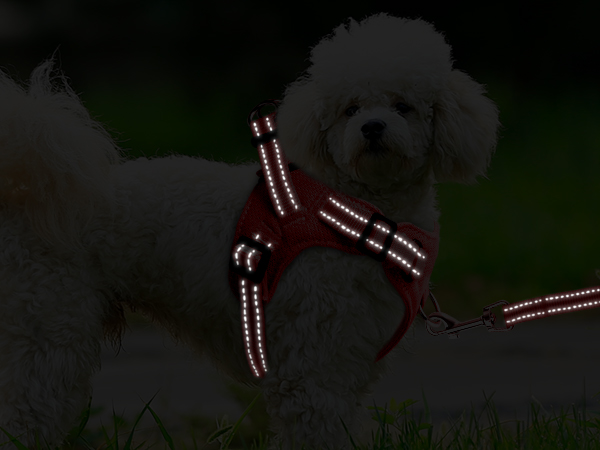 Step in dog vest harness , reflective adjustable puppy No pull harness