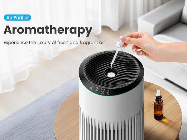 small air purifier