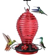 Glass Hummingbird Feeder for Outdoors Hanging, Bird Nectar Feeder with Perch &amp; 5 Flower Feeding P...