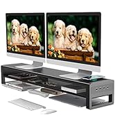 2 Tiers Dual Monitor Stand with Auto Charging Pad, 4 USB 3.0 Hub Ports, Double Monitor Riser, Met...