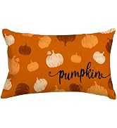 RABUSOFA Fall Pillow Covers 12x20 inch Fall Decorations Rust Orange Pumpkin Decor Autumn Seasonal...
