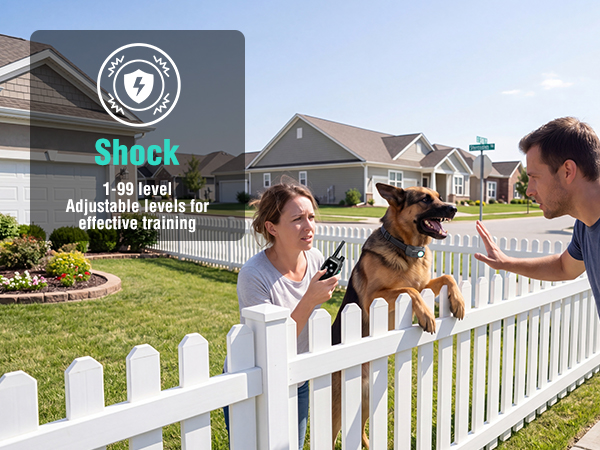 dog shock collar