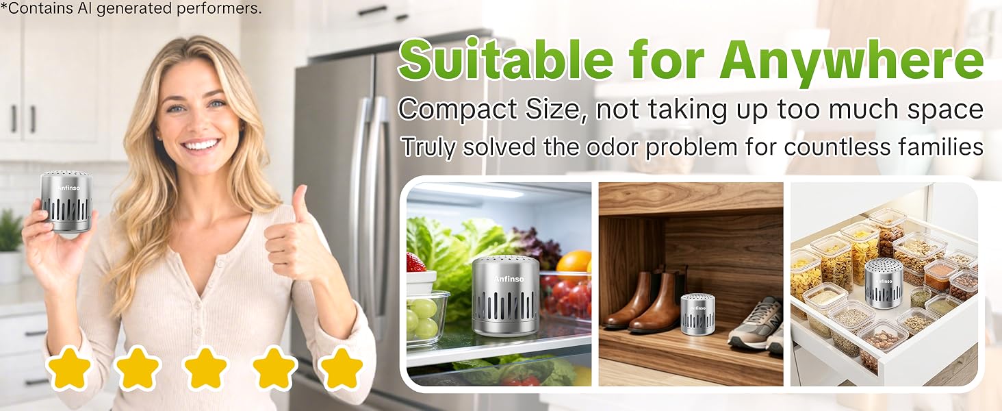 fridge deodorizer odor eliminator