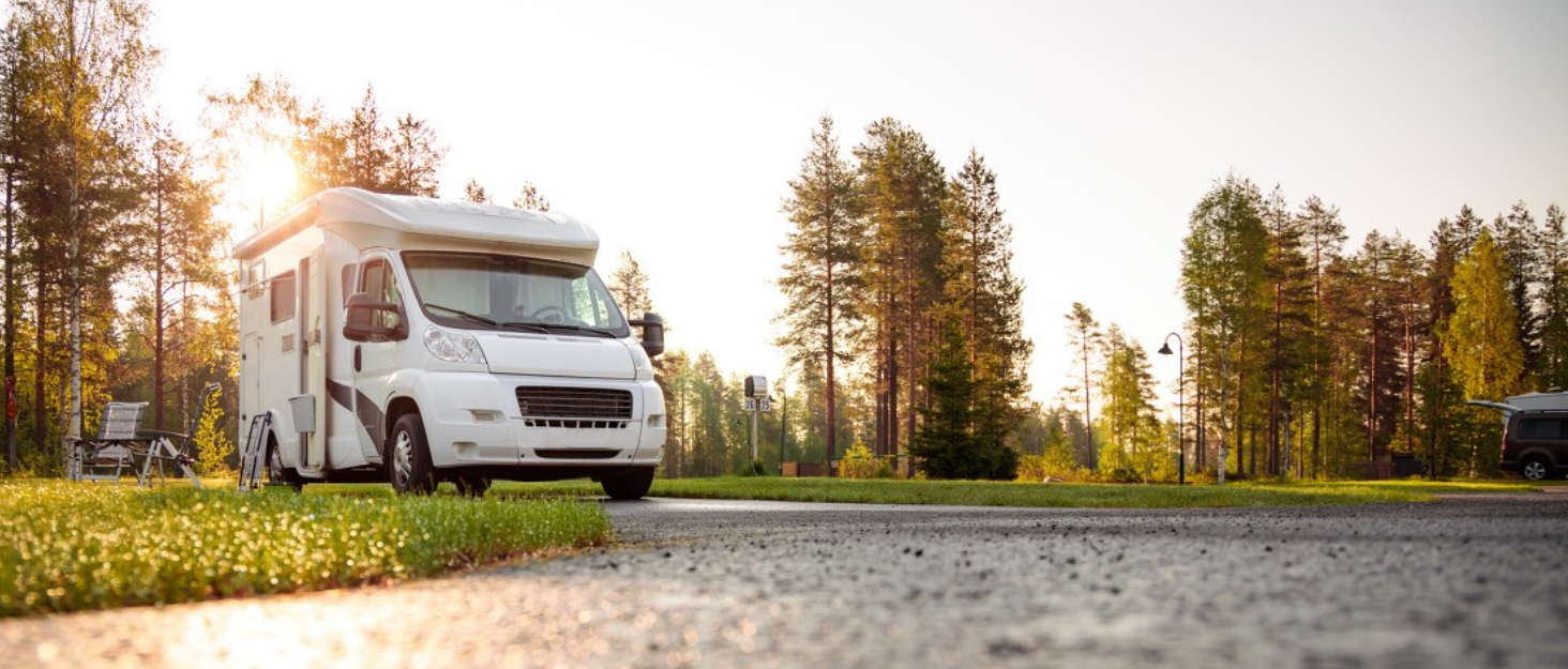 ECOCONUT Backup Camera