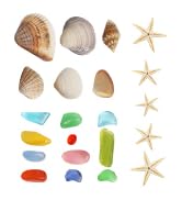 HAPYSHOOP Tiny Sea Shells for Crafting,7 Ounces Mixed Mini Seashells with Sea Glass 20 Pcs Starfi...
