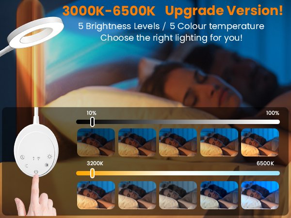 Wall Mounted Reading Light